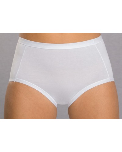 Women's high-waisted briefs in stretch modal cotton
