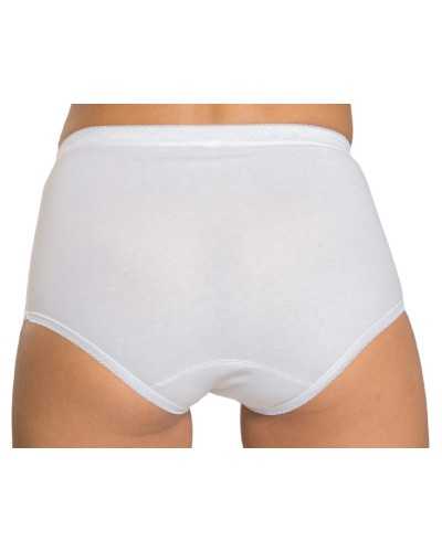 Women's stretch cotton maxi briefs